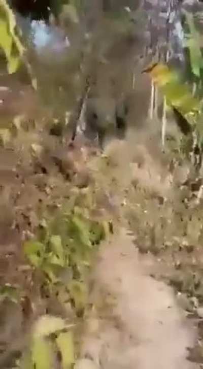 [2023] MNP (Marma group) storms JSS/JLA (Jumma group) positions in the Chittagong Hill Tracts (tri-border area of Bangladesh).