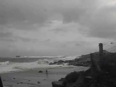 That peaceful walk quickly turned not so peaceful