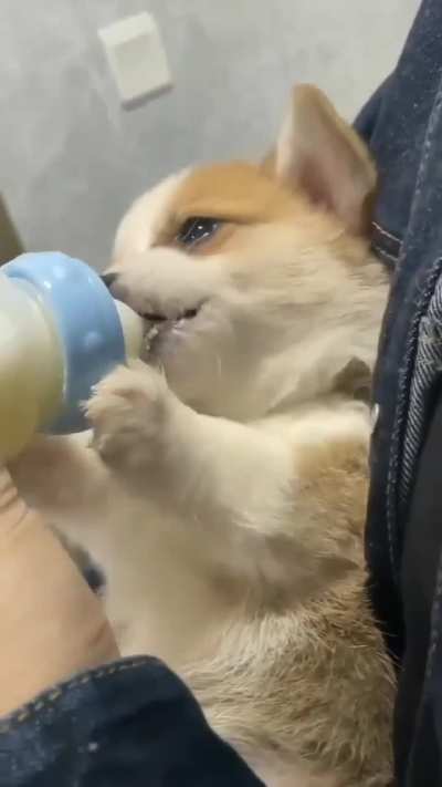 Aww this is so adorable 🤩