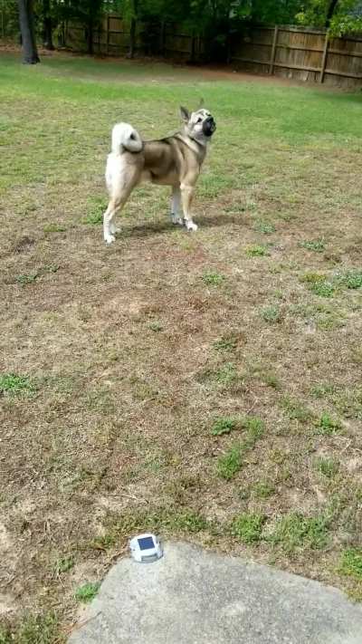 Let me sing you the song of my people