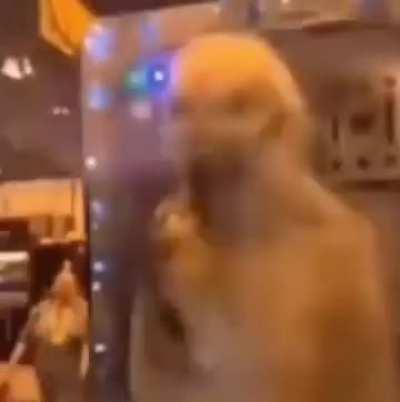 Waiting for the new episode