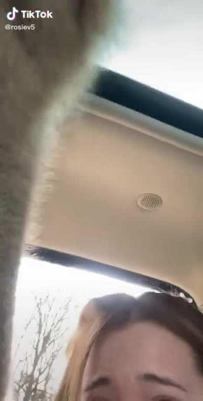 Whatcha got there? A Smoothie