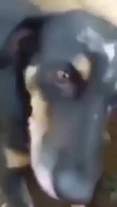 Me responde essa ai ð