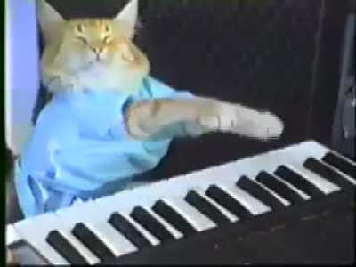 Pre-Pre Losercity Classic