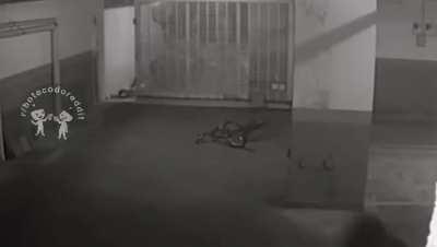 O espadachim de Belo Horizonte