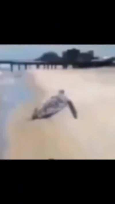 The sexual assault charges in question: