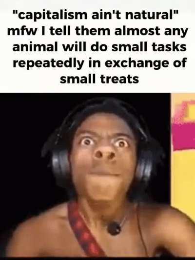 Humanity has learned how to domesticate itself.