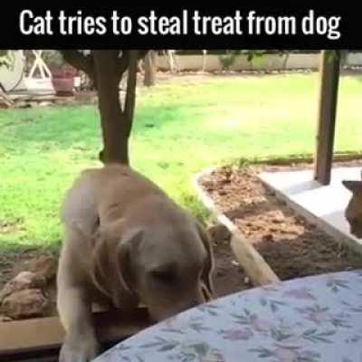 I GOT IT! I got it? did I get it?