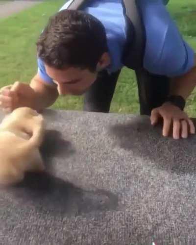 Here comes my Hoooman...... This is what I call pure love.