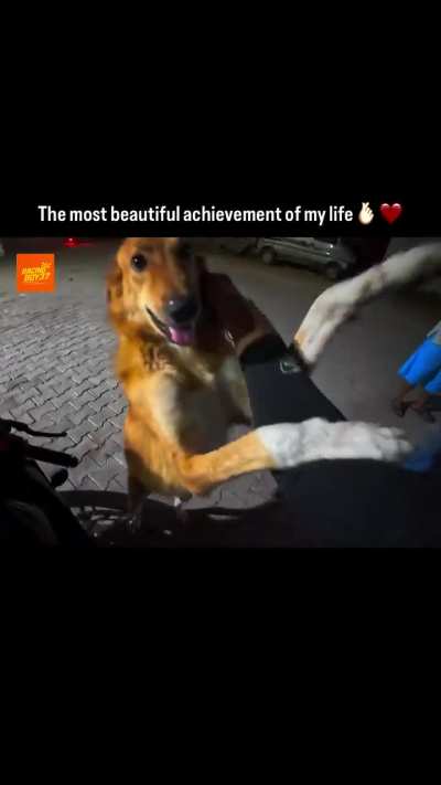 Bro remember every bit of life, meet notti my childhood buddy.