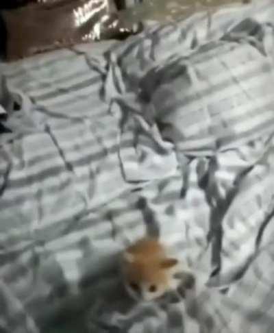 SquarePosting - Video #0785