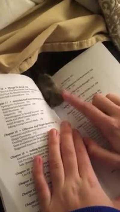 Interdimensional tapping