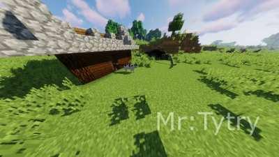 I added my real cat in Minecraft!