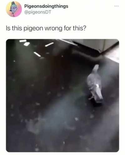 birb payed all money he's due to society already