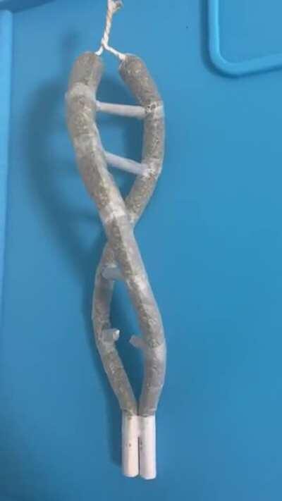 Snoop Doggs DNA - made for https://www.highrollerworldcup.com - if you like it, please vote for Markus S. :)