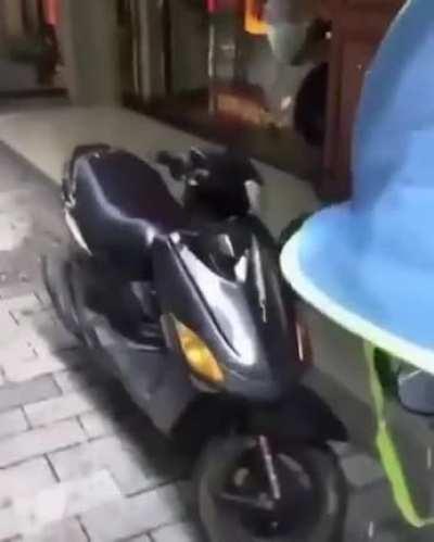 Traffic laws are for losers