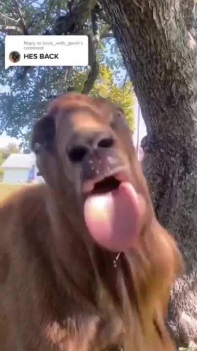 What's wrong with Him???