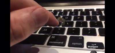 this little jumping spider gives this guy a high five