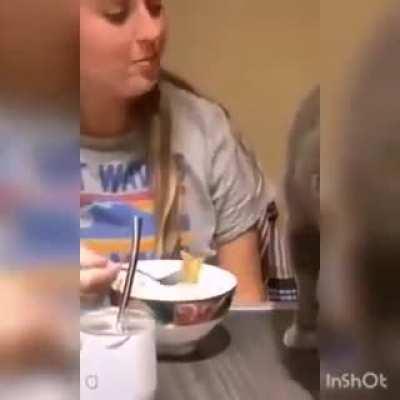 do you hate it when your cat does this