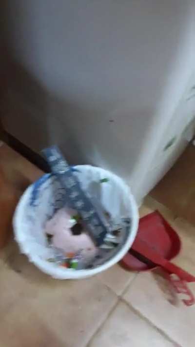 I kicked him in his meat bcuz he was invading my kitchen ok?