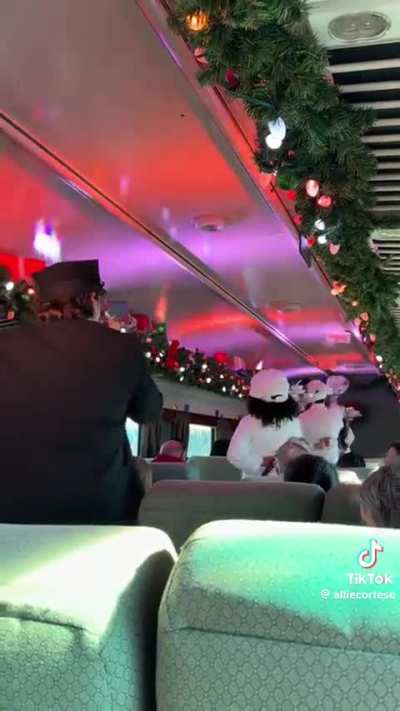 Ted on the Polar Express