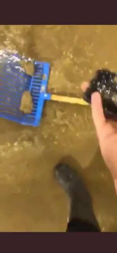 Showing off after you already got lucky once