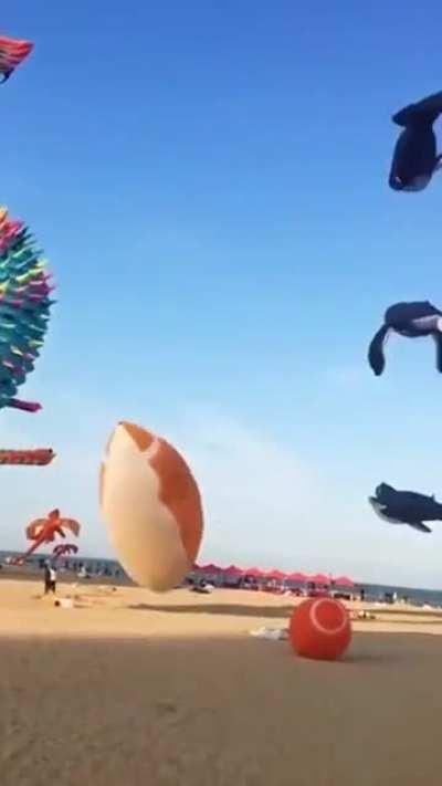 These balloon kites at the beach