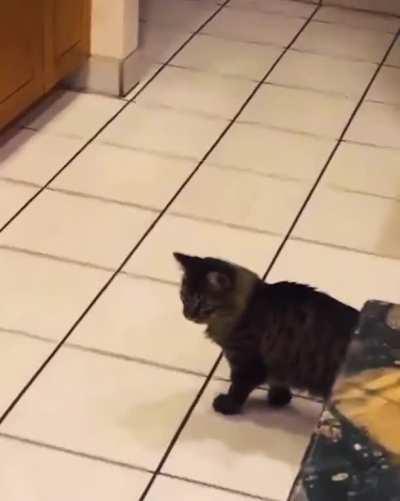 The amount of times I’ve replayed this to try and understand the the hell