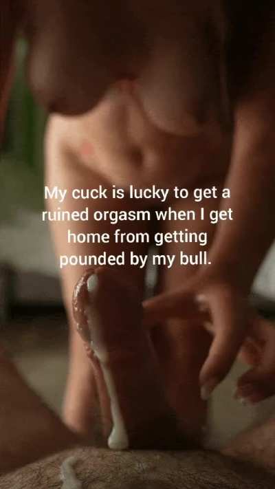 Bulls get to cum in my pussy... My cuck gets this 😈