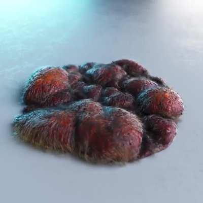 Some cute stuff. A play with C4D cloth engine.