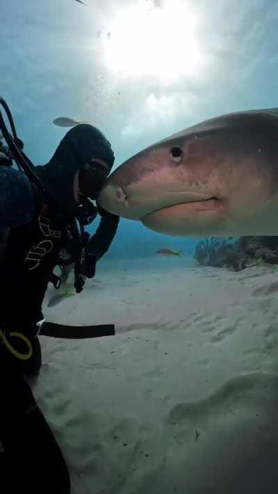 Under the Sea 🌊 💙