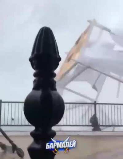 Live Action Wizard of Oz