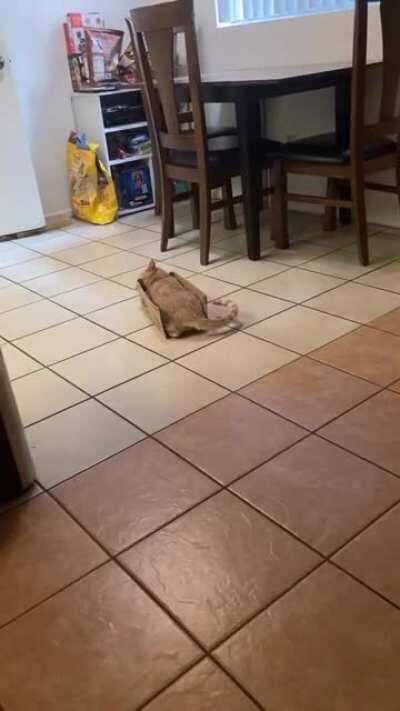 Testing out the spaceship 🛸