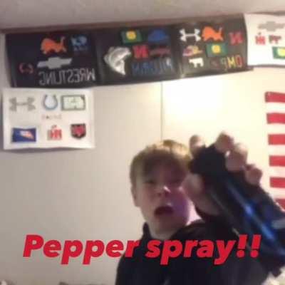 u/SwankPanzer and u/Spammly are the winners