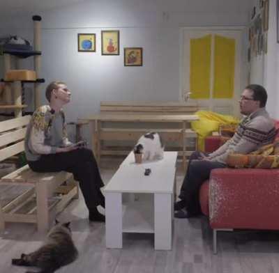 Адекватные, отзовитесь