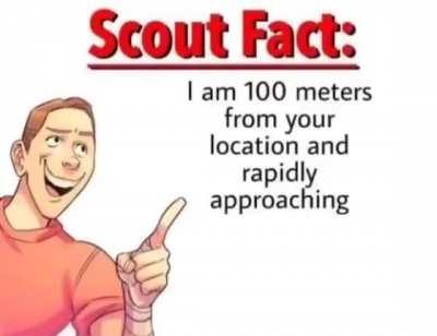 Fun Facts With Scout