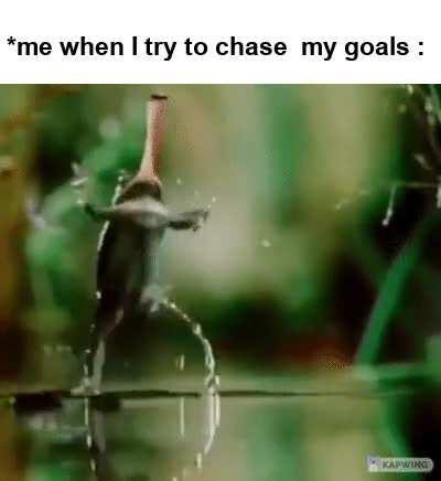 My goals be like . .