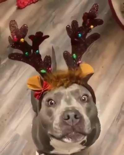 you think this is funny Karen ?