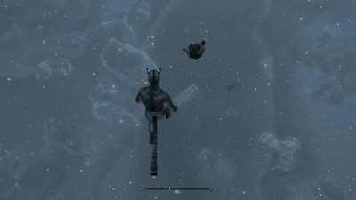 cats always land on their feet