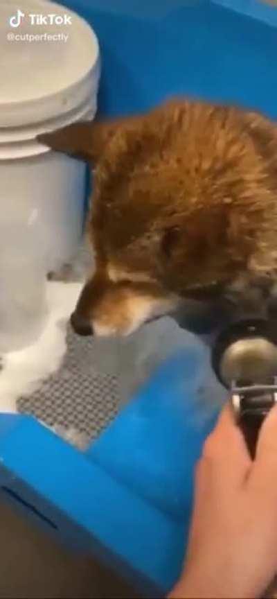 AAAAAAAAAAAAAAAAAAAAAAAAAAAAAAAAAAAAAAAAAAAAAAAAAAAAAAAAAAAAAAAA