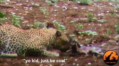 Oh a mother’s love...