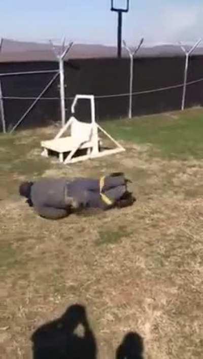 Bite decoy trips just as MWD launches for the kill