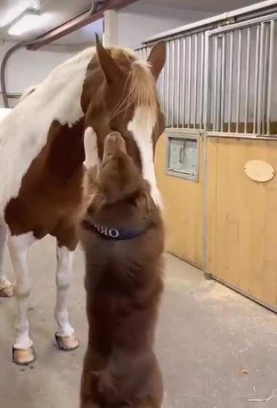 You're getting this, right?