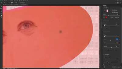 WHAT HAVE I DONE??!?!? 🐷