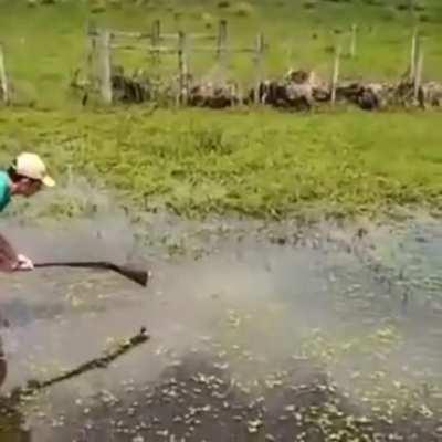 somebody send this to Brandon