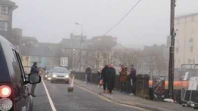 Never change, Galway ❤️