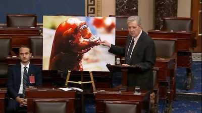 An American senator gave a speech in the U.S. Congress about radioactive shrimp that 