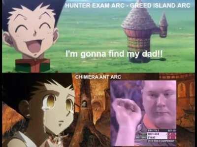 I wasn't emotionally ready for the Chimera Ant arc, I made as soon as I finished it