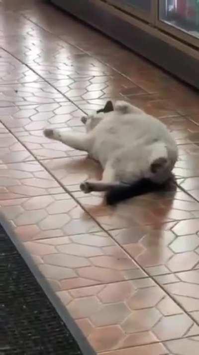 Excuse me... can I help you?