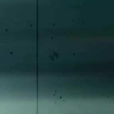 O titulo esta cansado de ser perseguido